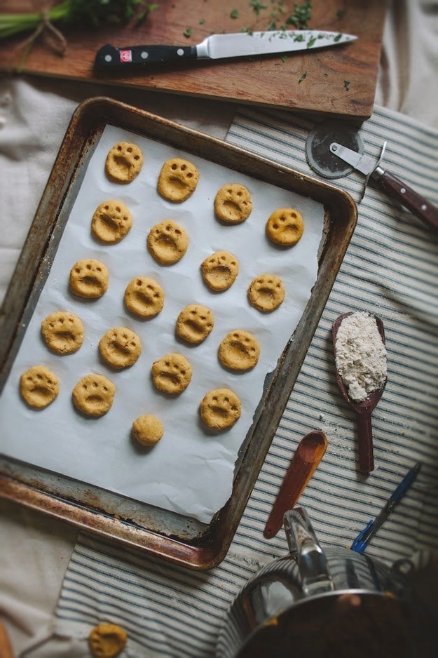 Diy cat outlet treats