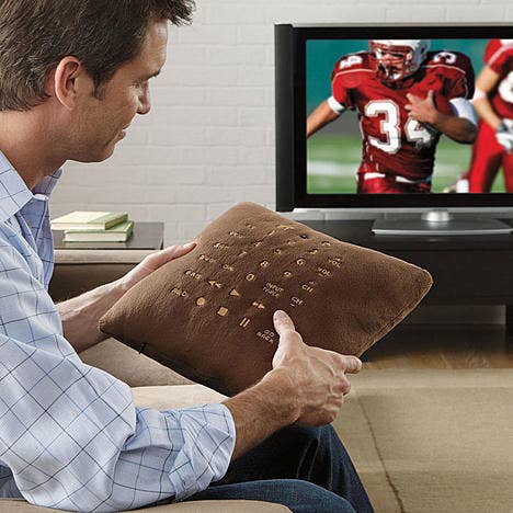If you misplace this remote, that's on you. Sears, $19.99.