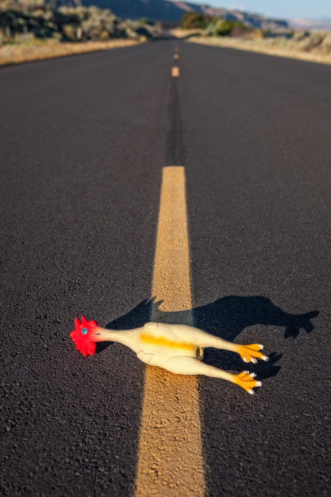 Why Did The Chicken Cross The Road? - Free Addicting Game