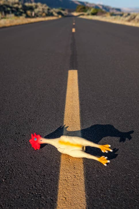 The Why Did The Chicken Cross The Road Joke Is Actually Super Dark