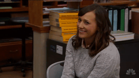 Ann Perkins