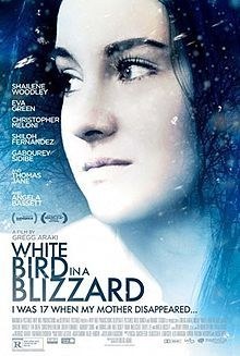 Teenager Kat Connors begins a life of wild shenanigans after her mother disappears.