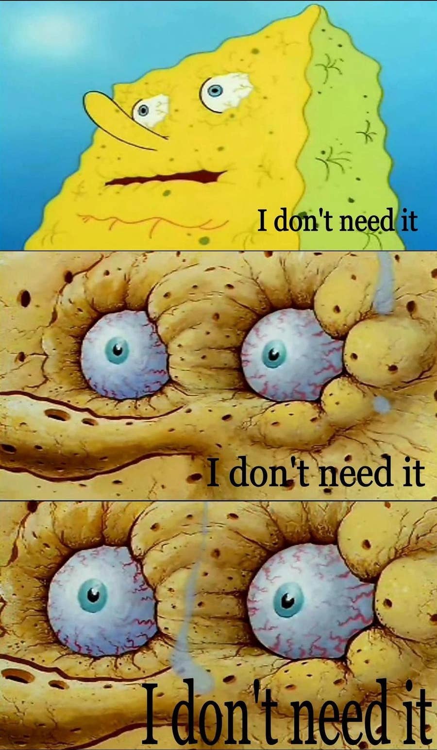 ¡El CUMPLEAÑOS de Sonic! 🥳 - Sonic and Friends en Español, image size:900x1545