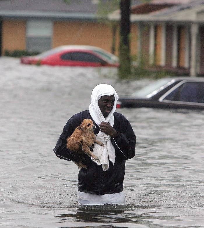 How Hurricane Katrina Turned Pets Into People