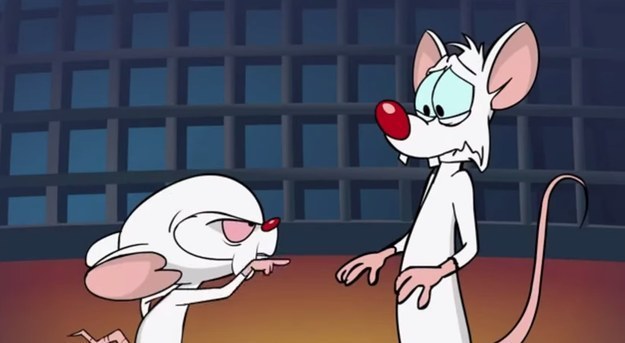 Aljoscha: "Ein Superhirn und ein Idiot als Maus. Erinnert mich an die Looney Tunes. Der Dünne erinnert mich an einen Ultra-Idioten und der mit dem großen Hirn braucht irgendwie Hilfe."Sein Fazit: "Ich finde es ganz okay."