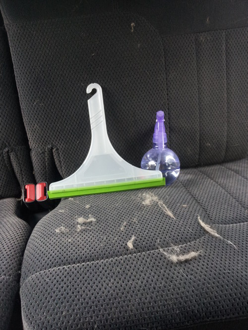 Banish animal hair from your upholstery with a spray bottle of water and a squeegee.