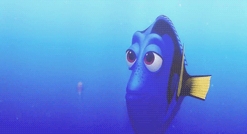 Dory