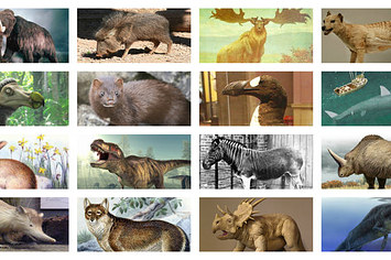 Which Extinct Animal Are You?