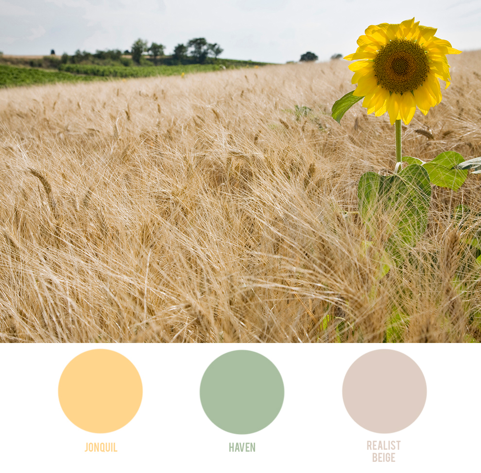 For more bright, cheerful soft yellows and greens that will add a bit of happiness to your home, try the softer side collection.