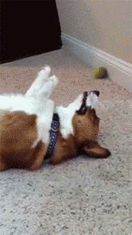 Oh I love you so much. That was too cute. Wait, I don't even know what you did wrong.