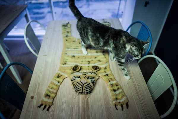 There Is A Cat Cafe In Newcastle And It S Purr Fect