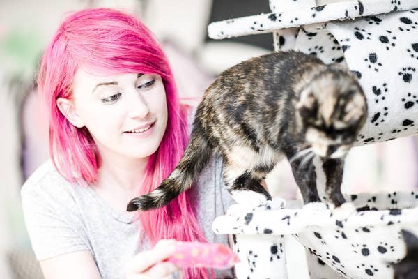 There Is A Cat Cafe In Newcastle And It S Purr Fect