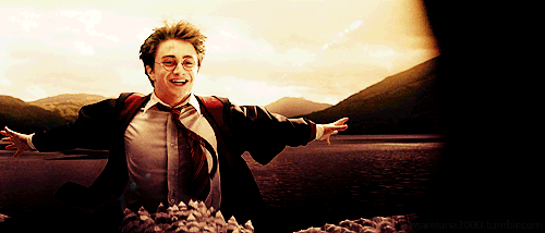 EXPERT WIZARD.