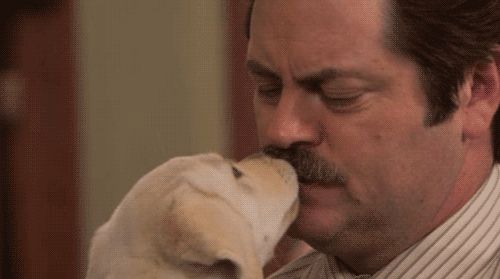 This one is probably the worst. Be prepared to squeal over every dog you see on campus and if the only reason you Skype home is so you can see your pup, just remember that you're not alone.