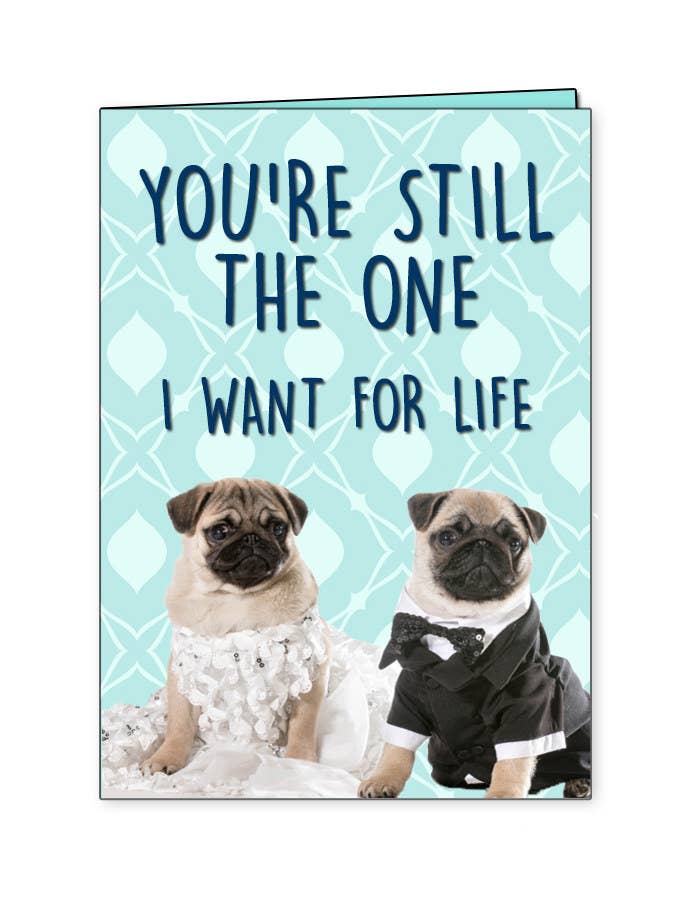 28 sexy brownies to spend valentine's day with If Shania Twain Lyrics Were Greeting Cards