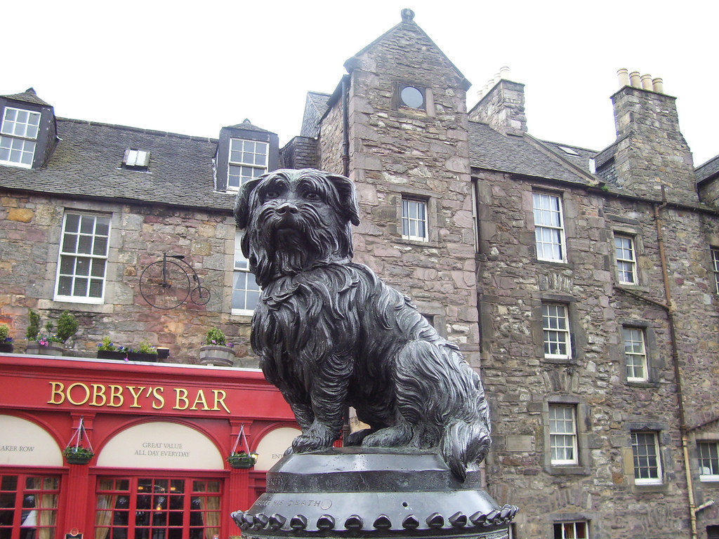 Chris (New York): Sweet, sweet Bobby. Guarding his favourite bar.Scott (London): I AM YOUR GOD.Jessica (San Francisco): My face when I see the server carrying a tray of food and I think it's ours.Sarah (Toronto) and Grace (New York): Is that the mayor of Edinburgh?Hayes (Washington, DC): Brb rewatching Jurassic Bark.Alex (London): That dog has human eyes and it's really weird.
