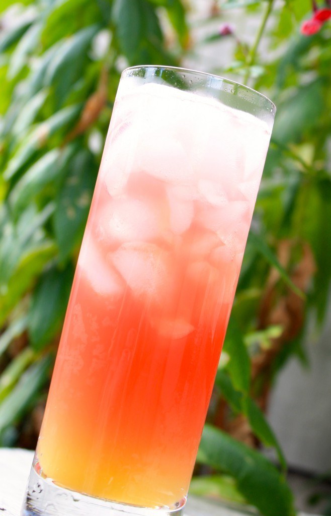 citrus vodka and grapefruit juice citrus vodka and grapefruit juice