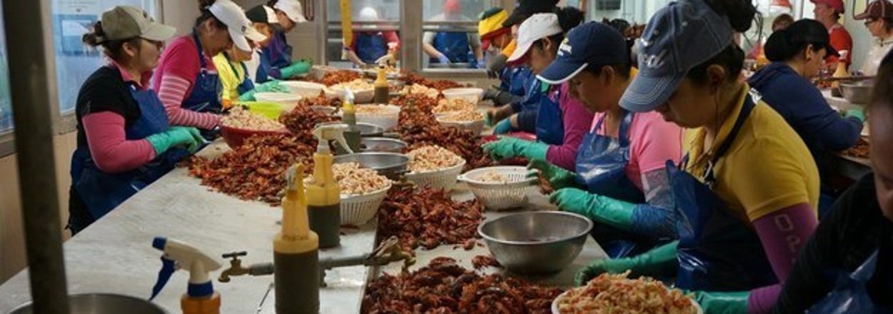 The New American Slavery: Invited To The U.S., Foreign Workers Find A Nightmare