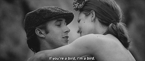 The Notebook