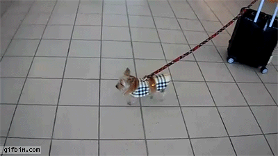 "Ma'am that is FAR too big for you."