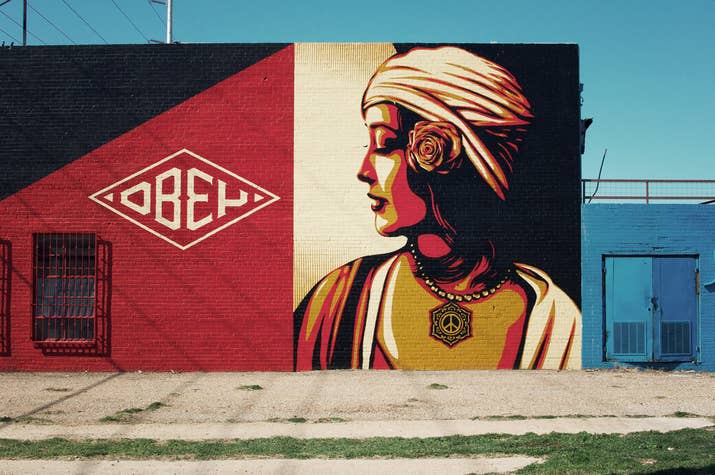 Ciudad natal: Charleston, Carolina del Sur.De Shepard Fairey siempre se escuchan dos cosas: &quot;Es el peor artista del mundo&quot; o &quot;es el mejor artista del mundo&quot;.Pero pienses lo que pienses de él, casi todo el mundo conoce su trabajo, su arte ha influenciado a muchos, y siempre da de qué hablar. Fairey fue el que creó el póster de Obama para su campaña presidencial en el 2008. Nos guste o no, no podemos escapar la influencia de Obey the Giant.