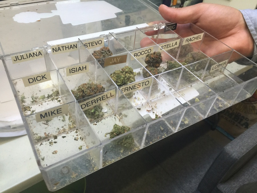 Stephen finds that free herb gives employees extra incentive to be punctual. Plus, it allows consultants stay familiar with strains currently being offered at the dispensary. Unfortunately, I was about 20 minutes late to my shift, so no nug for me. 😕