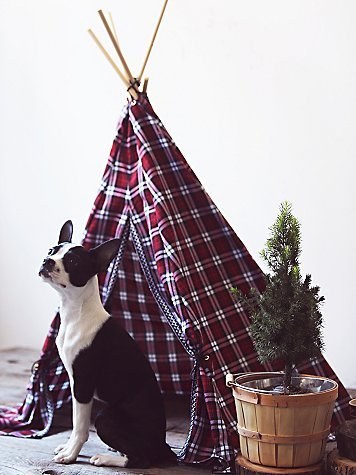 Every self-respecting bohemian dog has his own tipi.