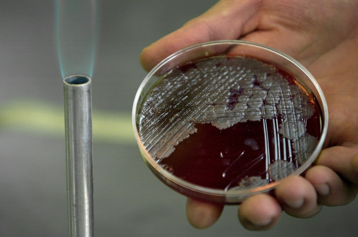 Live Anthrax Was Shipped To 192 Labs (And Counting) And Congress Is Pissed