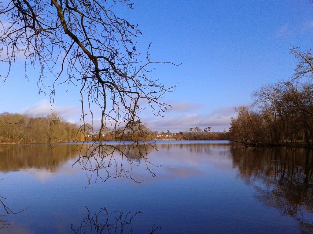 Étang de la Balastière, Bourgogne.