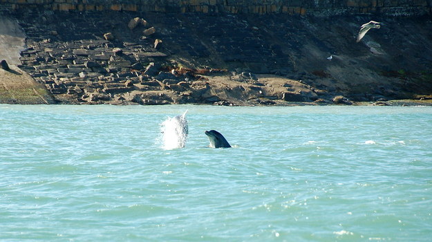 New Quay, Ceredigion.