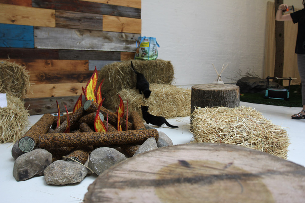 *The campfire is made from cat food!