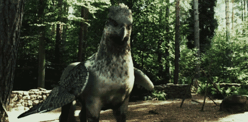 Hippogriff