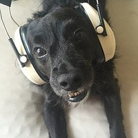 BuzzFeed profile picture for @monroe