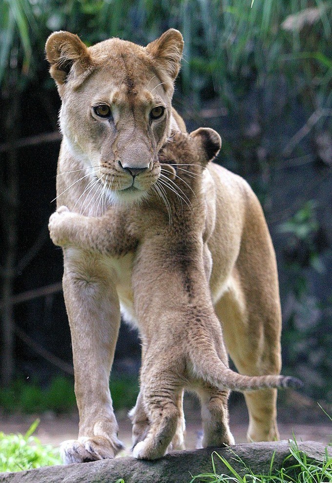 Everyone likes a good hug.