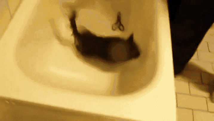 In 2013, 440 people drowned in a bathtub.