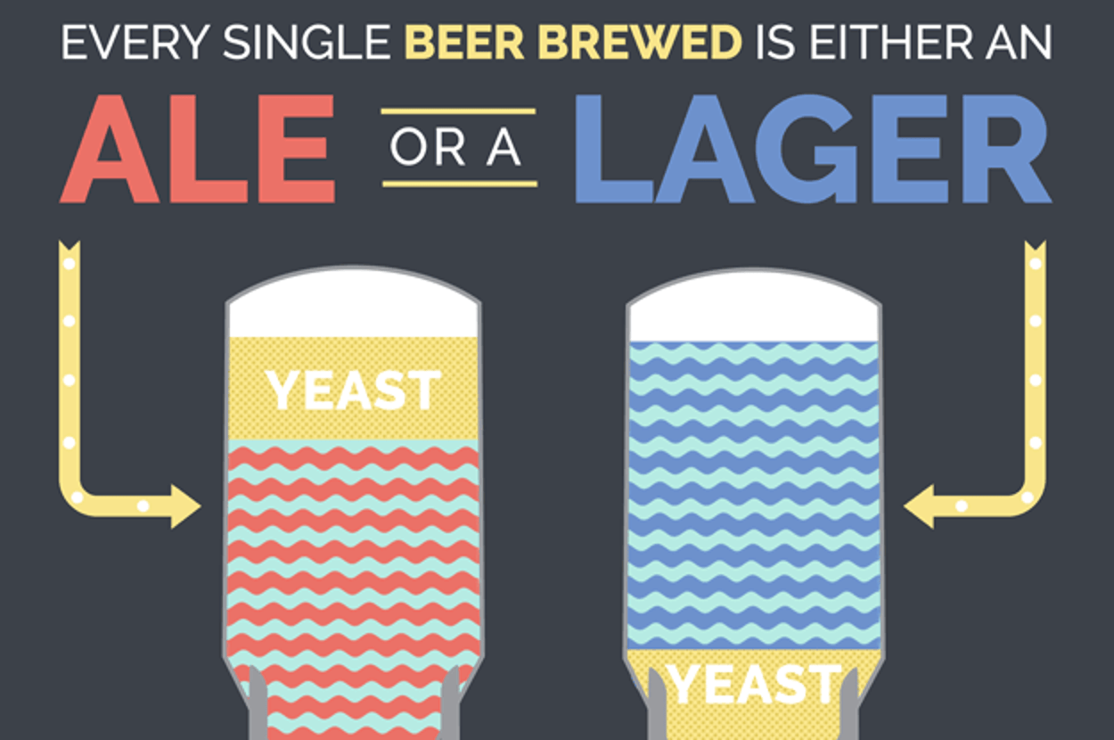 A Beginner’s Guide To Craft Beer