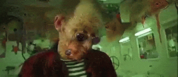 Roelof Pieters pasó Fear & Loathing in Las Vegas a través de una red neuronal entrenada para identificar animales y los resultados son aterradores.