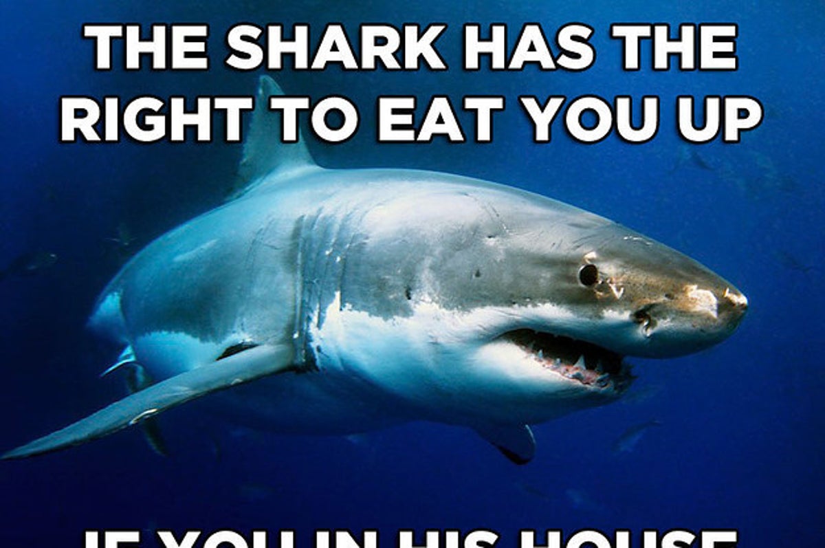 If you can buy instead of rent right now do it, don't wait, says Shark