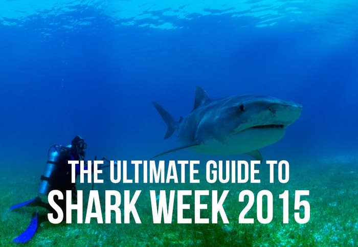 Ultimate Guide To Shark Week 2015