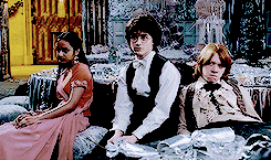 Now you're dumb AND a jerk, Harry.