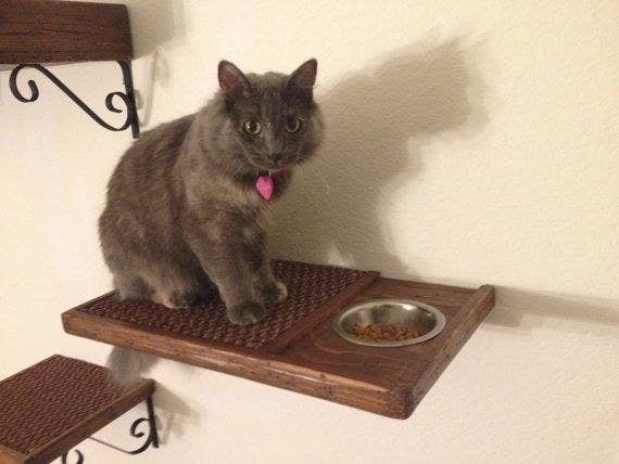19 Brilliant Diy Projects For Pet Food Stations