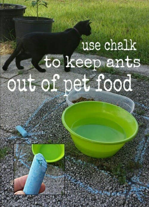 25 Genius Hacks That Make Having A Dog So Much Easier