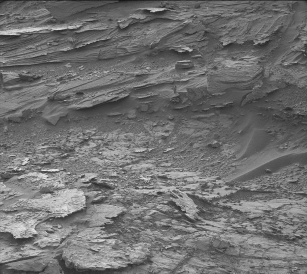 Do you see her? Let's zoom in a little bit.