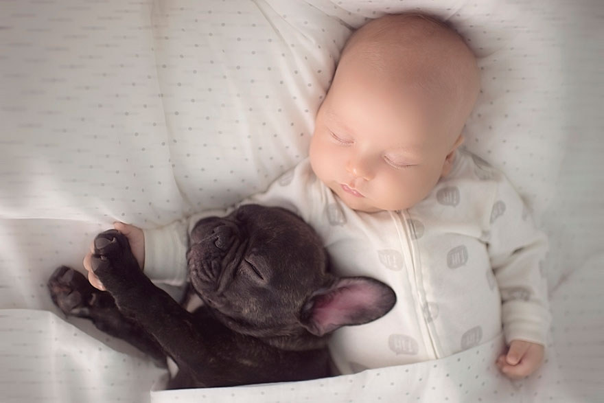 Este Bebe Y Este Bulldog Frances Nacidos El Mismo Dia Son Basicamente Hermanos