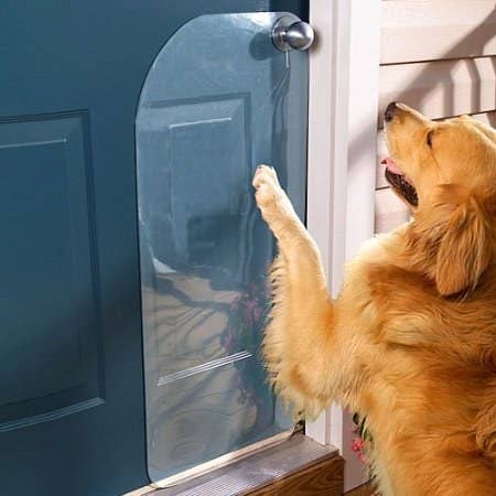 25 Genius Hacks That Make Having A Dog So Much Easier