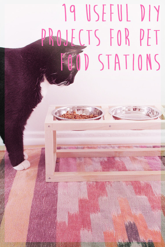 Pet Feeding Station Ideas - Photos & Ideas