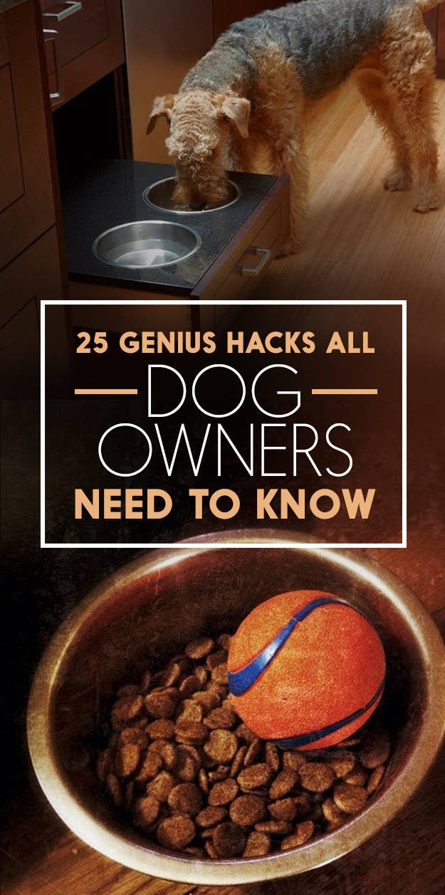 what makes a dog hack
