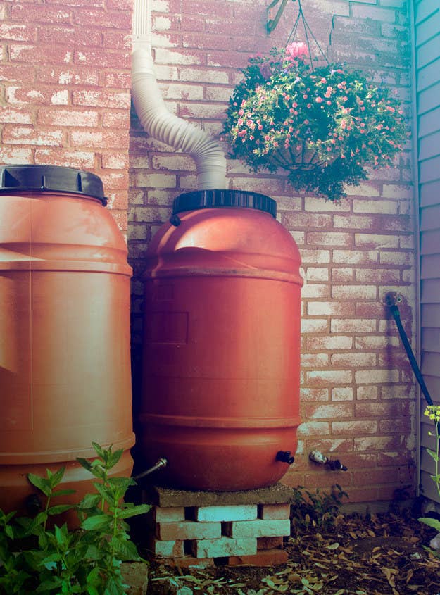 For a crisp $20, you can build your own collector and reuse your rain to water the garden.