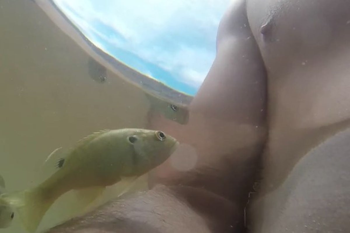 A Fish Attacked A Man's Nipple And Proved No One Is Safe In The World