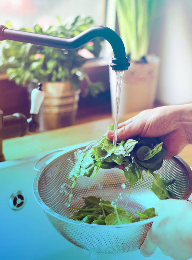 Place a shallow bucket in the sink to collect the water, then transfer that water to a watering can. You could even plant an herb garden in your kitchen window, then use your wastewater (plus light) to grow food for yourself! Be sure to check your plants to ensure they can handle the pH of dish soap water.